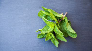 garnishing-instructions-image